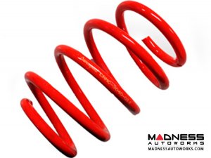 Mini Cooper Performance Lowering Springs by Craven Speed